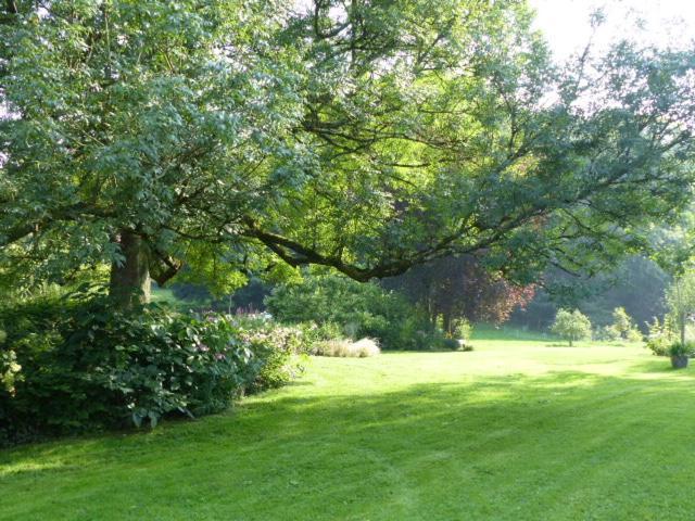 WillemanLe Jardin Du Rossignolアパートメント エクステリア 写真