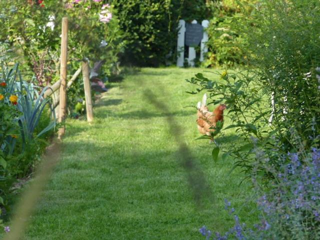 WillemanLe Jardin Du Rossignolアパートメント エクステリア 写真